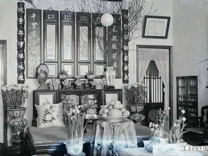 hoa dao 3