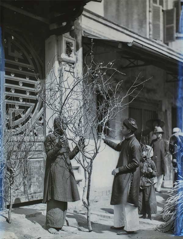 Peach blossoms were essential in the old Tet celebrations.