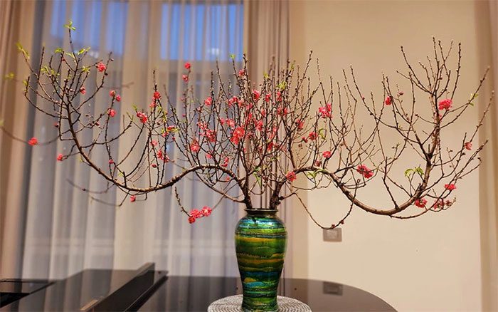 The custom of displaying peach blossoms during Tet has been around for a long time.