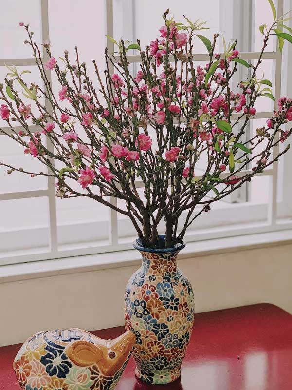 From rural areas to cities, the pink hue of peach blossoms brightens everywhere.
