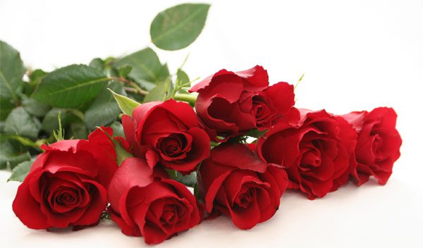 Meaningful gifts on Valentine's Day