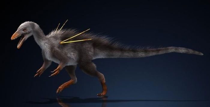 Fossil Discovery of a Strange Dinosaur in Brazil