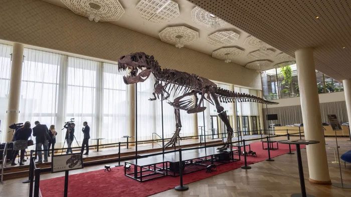 The name of this skeleton is "Trinity"