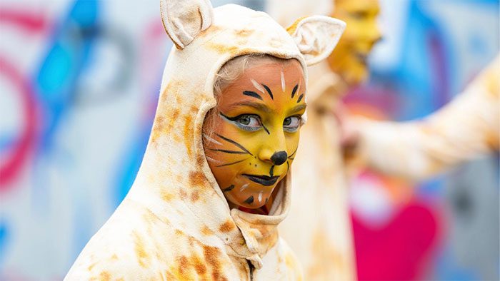 Festival attendees dressed as cats at the Kattenstoet.