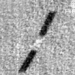 house of mirrors recording the recovery process of spacex 126810