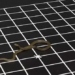 how does the sound of a snake sound 126030