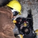 how long can humans survive under rubble 125683