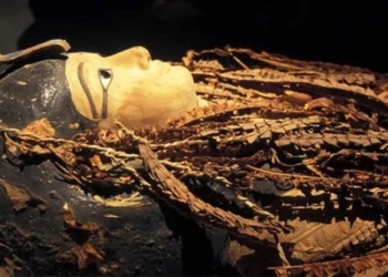 how to revive a dead body 124949