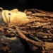 how to revive a dead body 124949