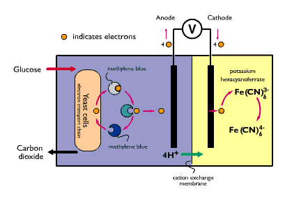 howfuelcellworks