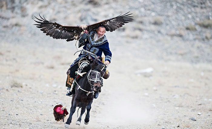 Training eagles