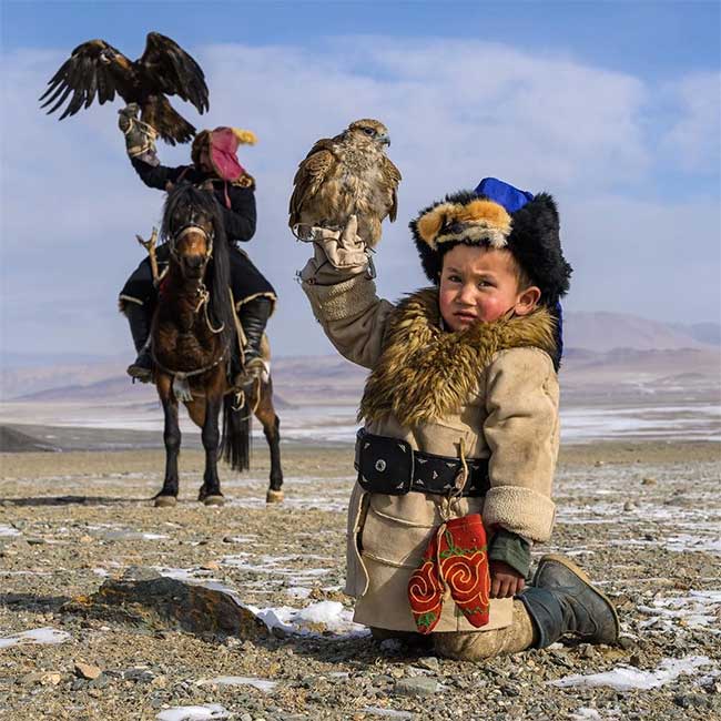 The golden eagle is a powerful bird found frequently in Central Asia.