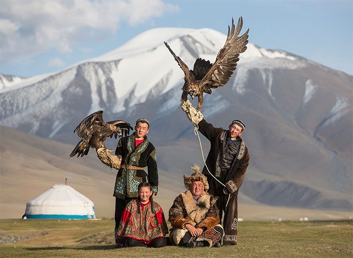 A female golden eagle can lay about 1 to 3 eggs at a time.