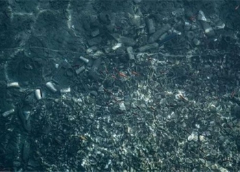 humans have released more than 170 trillion plastic balls into the ocean 126258