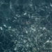 humans have released more than 170 trillion plastic balls into the ocean 126258
