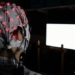 humans will learn three times faster if exposed to new light 125741