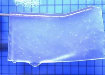 hydrogel regenerating neural tissue after injury 126089