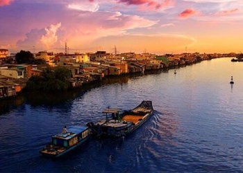 international research mekong river delta catfish hundreds of thousands of tons annually 124792