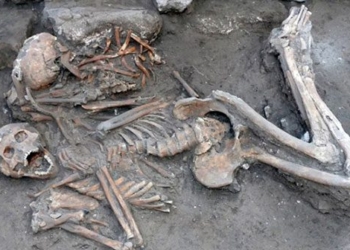 introduction to column 3 400 years surgery no 125986