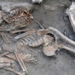 introduction to column 3 400 years surgery no 125986