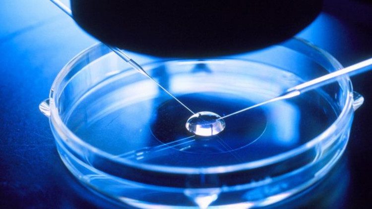 Currently, the fertilization process typically takes place on Petri dishes.