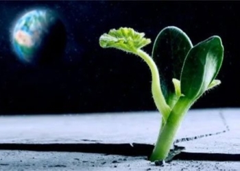 japanese companies are seeking ways to cultivate food on the moon 124778