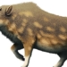 kubanochoerus gigas an extinct large pig like creature similar to a unicorn in mythology 125750
