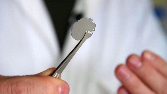 Artificial Leaf Device