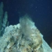 laboratory below sea level 6807