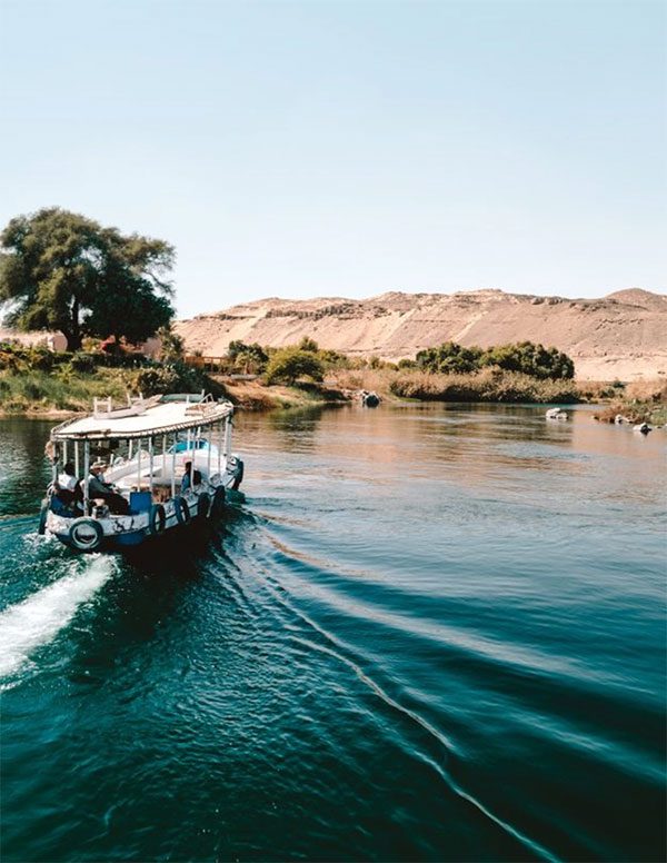lang nubian 8