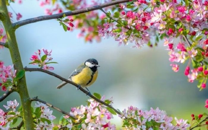 Li Chun signifies the moment when spring begins.