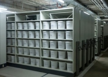 largest adult collection under the basement of odense university 126498