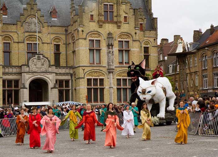 A lively performance at the Kattenstoet Festival.