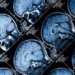 learning can be the best way to prevent cognitive decline 125781