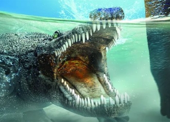 living with dinosaurs why crocodiles did not go extinct 126647