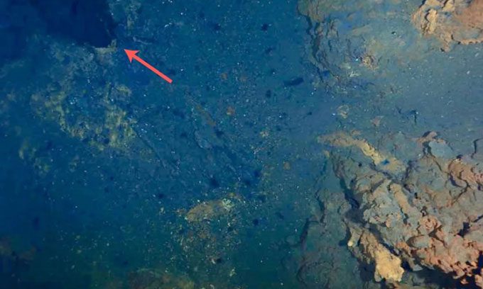A hydrothermal vent spewing smoke on the seabed in the Central Arctic.