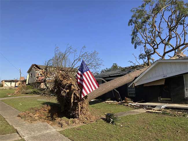 A tree uprooted and collapsed onto a house after a tornado in the U.S.