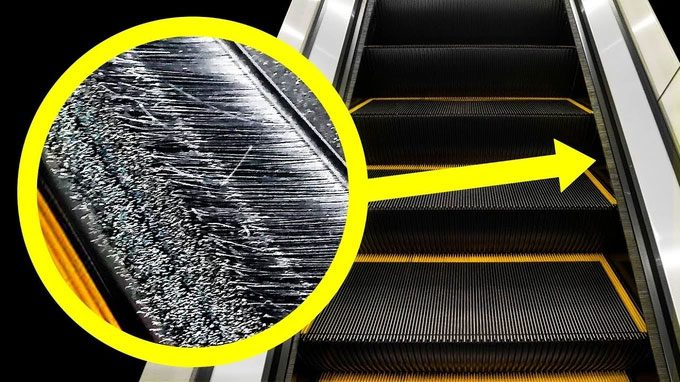 Many people are still unaware of the true purpose of the brush bristles along the sides of the escalator.