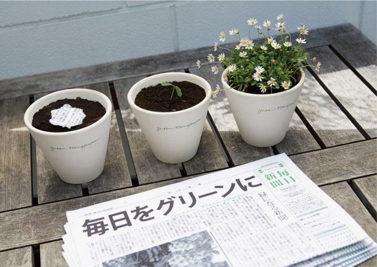 Users just need to tear the newspaper into small pieces and place them on the soil, then diligently water them.