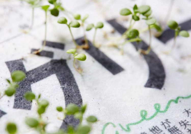 This invention has earned Mainichi Shimbun the title of "green newspaper." 