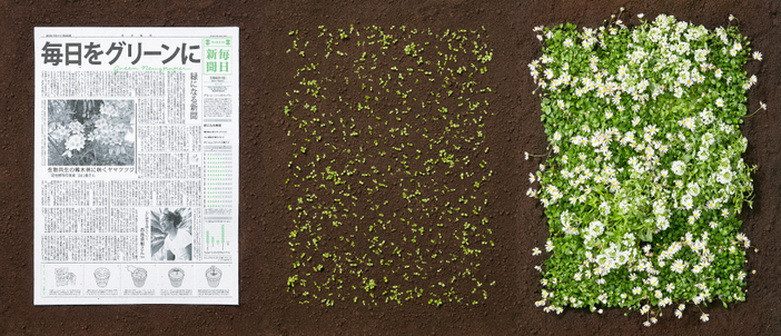 Recyclable newspaper that can turn into a green tree