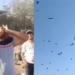 man eating thing has the ability to call hundreds of fruits fall to 126129