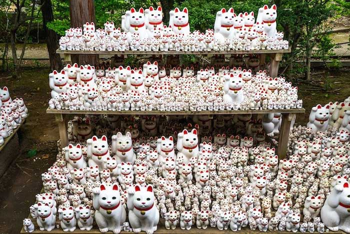 maneki neko 5