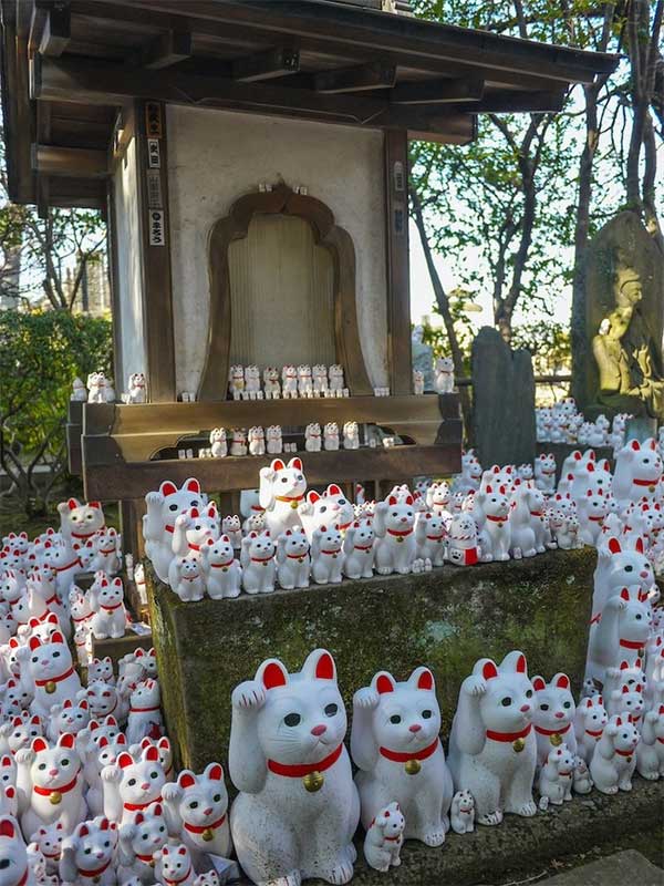 Maneki-neko also comes in various colors, depending on the owner's wishes.