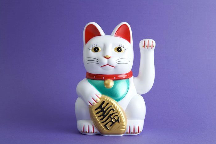 Maneki-neko depicts a Japanese Bobtail cat beckoning.