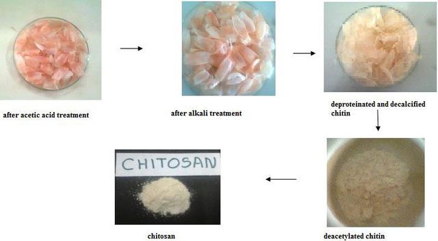 Chitosan film has many superior advantages compared to PET plastic materials.
