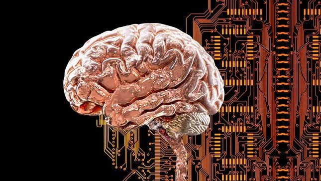 All atrophied regions are connected to a common brain network.