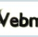 many network systems in vietnam may be severely affected by webmin vulnerability 7004