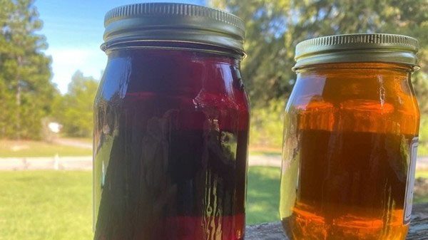 There is only one place in the world where bees produce purple honey.
