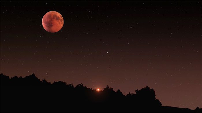 You can predict your personality traits based on your moon phase
